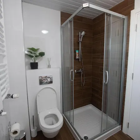 Lux Petrovic Apartament